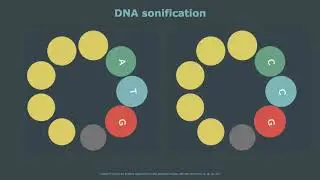 CODE - DNA sonification