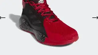D Rose 11