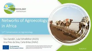 12 - Conversation on Agroecology: Networks of Agroecology in Africa