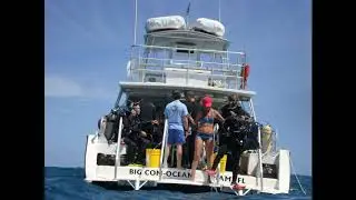 Pro Divers Fort Lauderdale Florida dives   2009