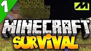 Minecraft funny GameplayMinecraft Funny Gameplay .||Minecraft Finding Village funny video.like subs 