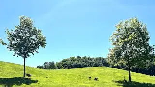Don Valley Golf Course 240615 Hole 1-4