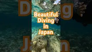 Finding an incredible dive spot in Okinawa, Japan #japan#beach#diving