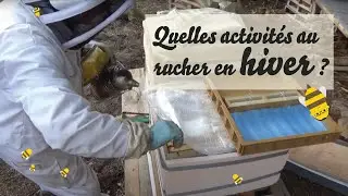 Quelles activit&eacute;s au rucher en hiver ?