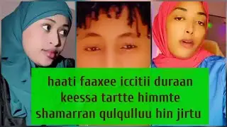 haati faaxee iccitii duurana keessa tartte himmte shamarran qulqulluu hin jirtu