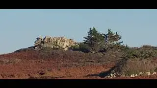 La pointe de ker guluk sur l'&icirc;le grande &agrave; pleumeur bodou 