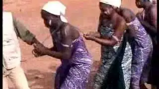 Bingui jaa jammy 