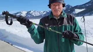 Backcountry Ski Poles
