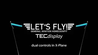 TECdisplay dual controls in X-Plane 11