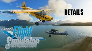 Hear the truth about Microsoft Flight Simulator (my version of it)