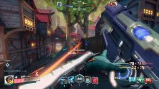 Paladins Hacker Caught