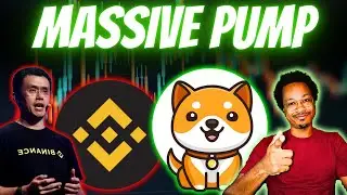 Why BABY DOGE Will PUMP HARD This BULL RUN