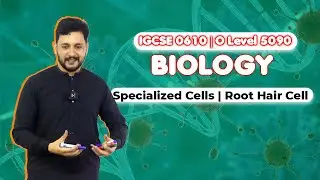 IGCSE (0610) O-Level (5090) | Biology | Specialized Cells | Root Hair Cell