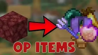 Minecraft but netherack drop op item(10,11/30)