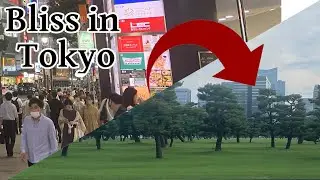 Escape the Crowds: Exploring Tokyo's Largest Green Space, Chiyoda City
