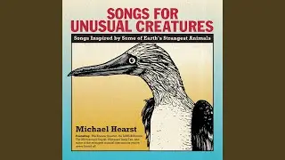 March Of The Unusual Creatures
