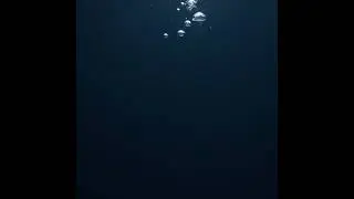 Still Breathing (SONG Draft)