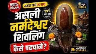 NARMADESHWAR SHIVLING / ORIGINAL SWAYAMBHU NARMADA SHIVLING / BANALING SHIVA LINGAM / +91 9399711163
