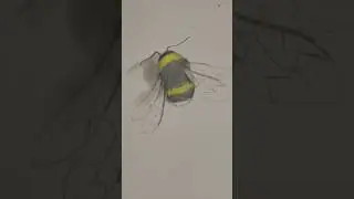 Draw a bee 🐝 Easy drawing lesson for beginners on how to draw a bee. #drawinglesson #howtodraw #bee