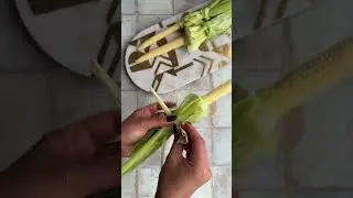 Have you ever tried baby corn on the cob? 🌽 ✨
