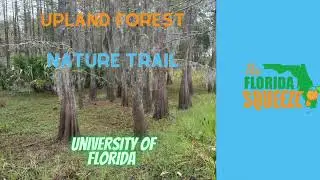 Upland Forest Nature Trail @ UF