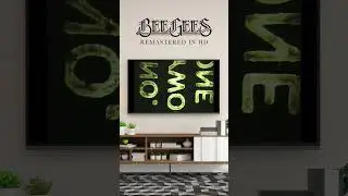 New Bee Gees Videos #shorts