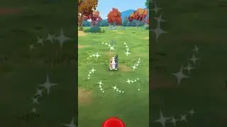 ⚡️ SHINY Morpeko from Field Research! High Voltage Event! 🐹 #shorts