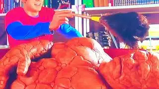 Fantastic Four (2005) - Johnny  pranks Ben