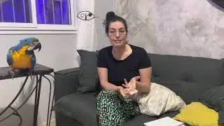 😱DENUNCIARAM A KING E O THOR PARA A POLÍCIA AMBIENTAL!!! 😱