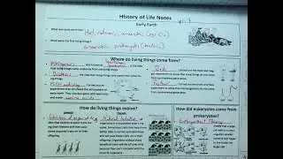 History of Life notes