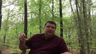 Update # 1 work camping possibles