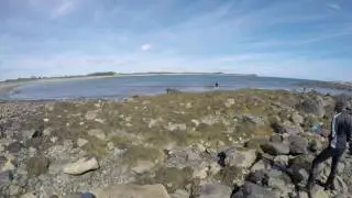 Timelapse: StFX Invertebrate Zoology students at Tor Bay