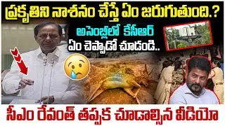 KCR Shocking Facts About Environment Issues | CM Revanth Reddy | HCU Biodiversity Issue | Yuvagalam