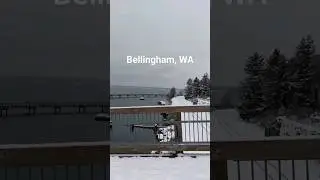 Bellingham, WA, in the Snow #nature #travel #pnw