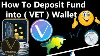 How To Deposit Fund into Vechain ( VET ) Wallet | Vechain Wallet App