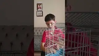 kuşuma bayram temizliği (VLOG)