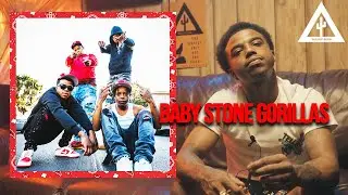 THE STORY OF BABY STONE GORILLAS: STRAIGHT OUTTA THE JUNGLES OF LOS ANGELES