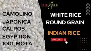 Round Grain, Camolino, Calrose , Japonica , Egyptian, Sticky, Mota , 1001 , Indian Whate Rice ,#aaa