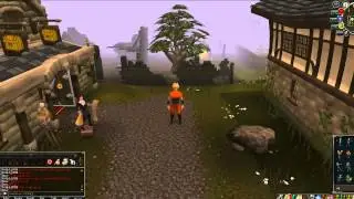 INTRO TO MMO - RS