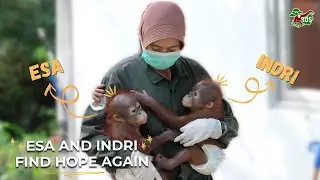 ESA AND INDRI FIND HOPE AGAIN!