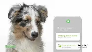 I'm Blown Away by the iRobot Roomba i3 EVO's Efficiency in 2024