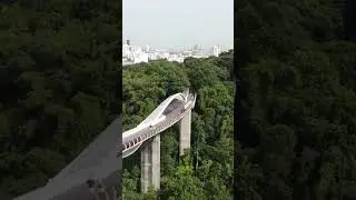 The Henderson waves Singapore! #travel #exploresg #nature #nparksbuzz