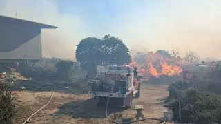 Dolphin Sands bushfire leaves 19 properties damaged