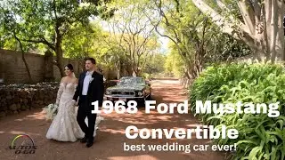 1968 Ford Mustang Convertible, best wedding car ever!