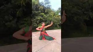 Continuous 25 mandi adavu set of all types| Bharatanatyam|Jathi|Part-1 #barathanatyam #dance #beats