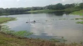 Driving Through Lake with Cat D2