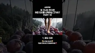 꼭 건너야 한다면 어떤 다리를 선택하실 건가요? PART 18 #asmr #ai #다리 #구름다리 #포도 #양꼬치 #오징어 #새우튀김