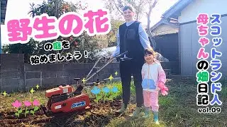 庭にイングリッシュガーデンを作りたい。まずは種を蒔いてみたよ/ want to make a small english garden in Japan スコットランド人母ちゃんの日本で家庭菜園日記