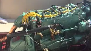 IMG 03621