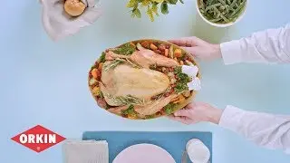 How To Prevent Pests In The Kitchen